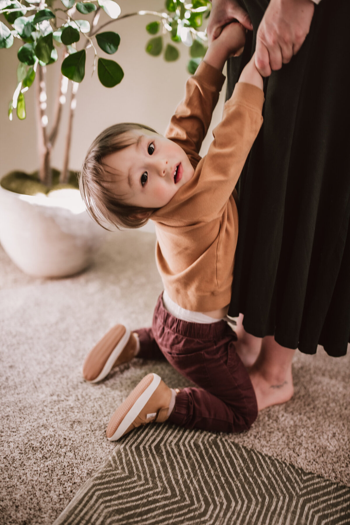 maternity-photos-cleveland-ohio-2