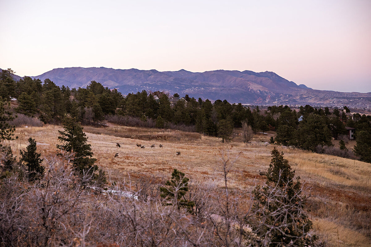 The view of the Colorado Mountains from the Broadmoor Hotel.