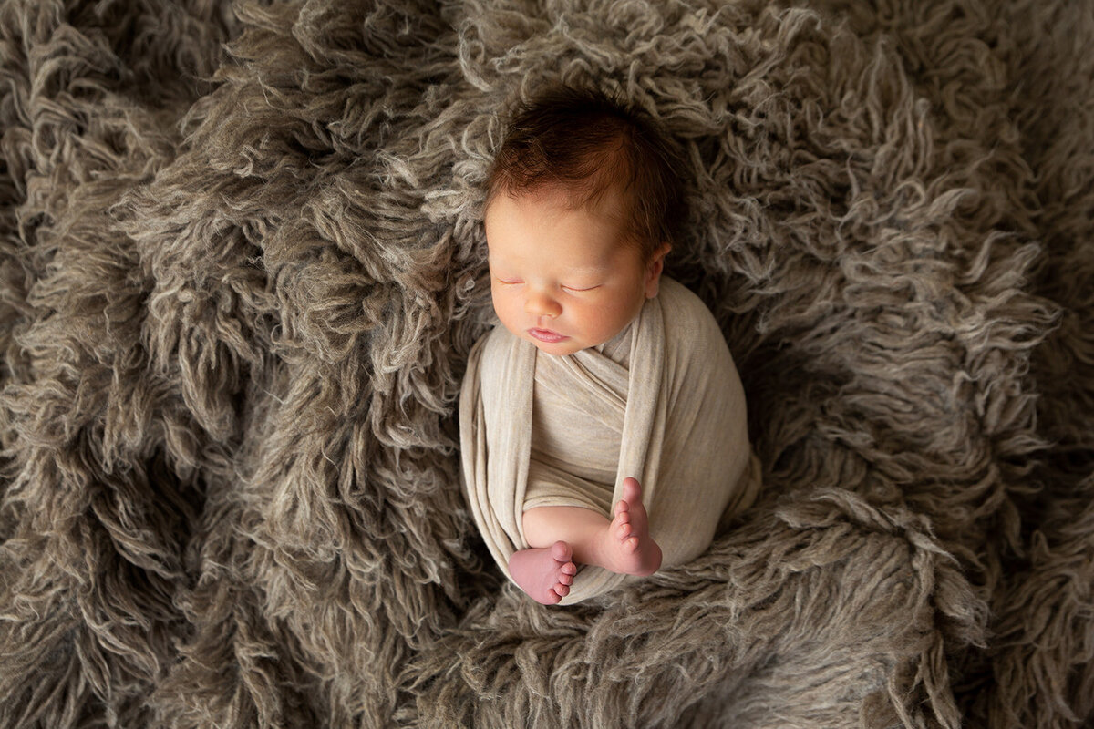 Mandy Penn Photography- Ezra Newborn 2020 (4 of 7)_websize