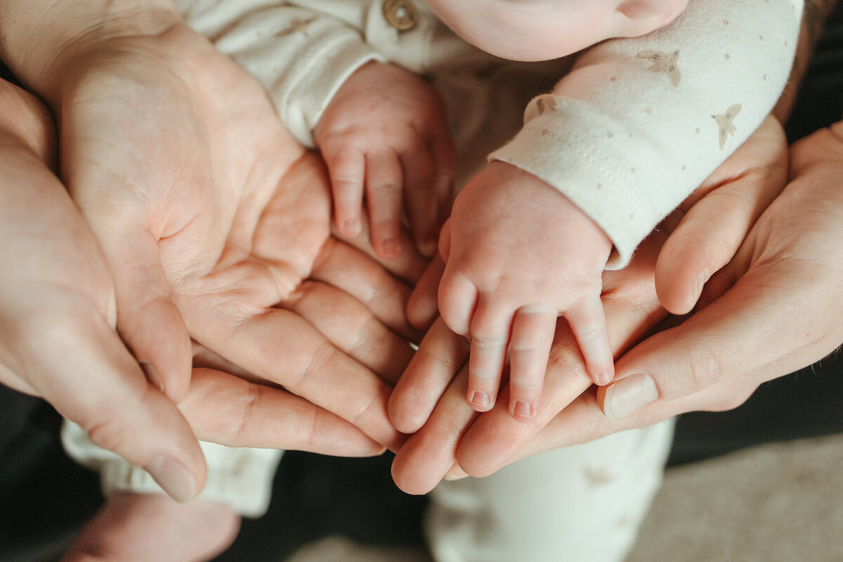 photo of dads hands with moms hands on top of his and babys hands on top of moms during in home session with alexis adkins photo in longmont colorado