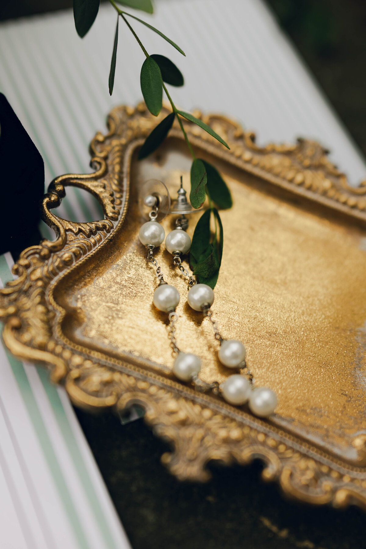 MariahRosePhotoSycamoreHillJohnsons16