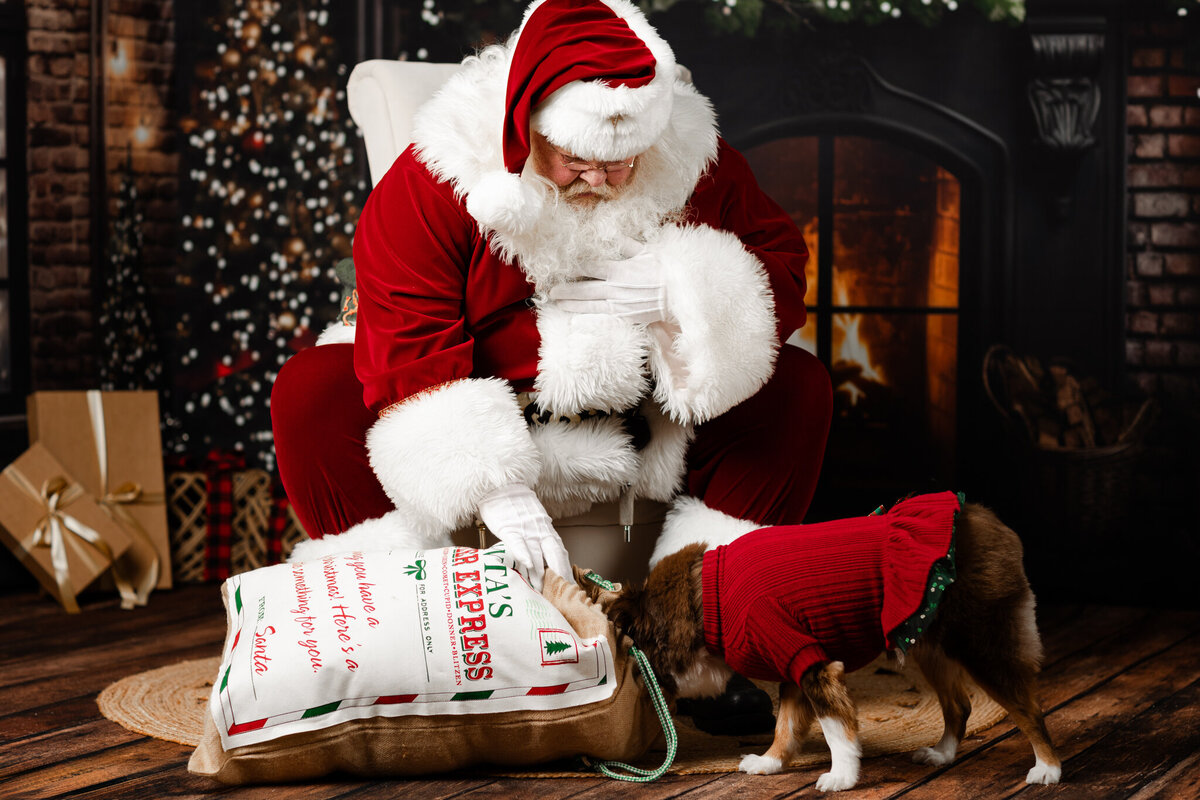 Best NWA holiday photographer, holiday portraits near me, Northwest Arkansas holiday photography, NW Arkansas holiday photos, NWA santa photos