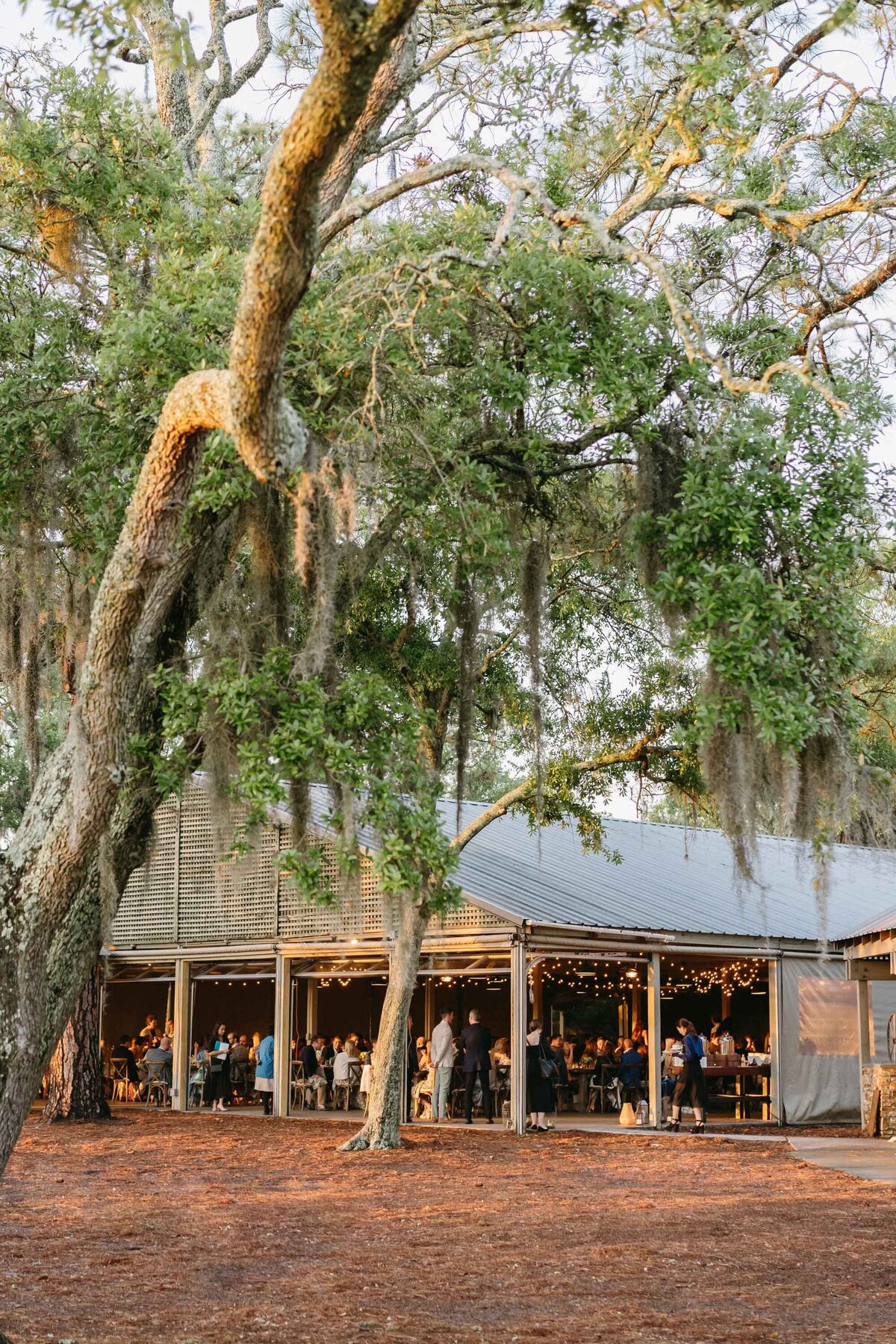 049-matthewrobbinsdesign-robbinsotoya-kiawahisland-rehearsaldinner-adrianariveraphotography-3621