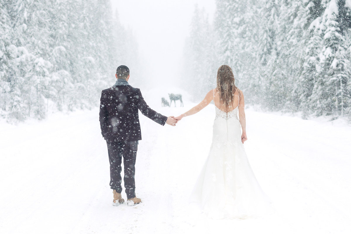 emerald lake lodge snowy winter wedding moose