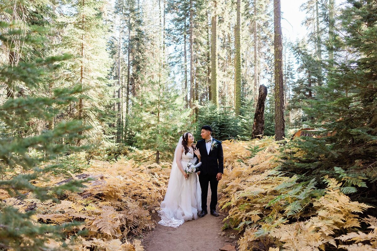 A bride and groom walk along a forest trail during their fall elopement in Sequoia.