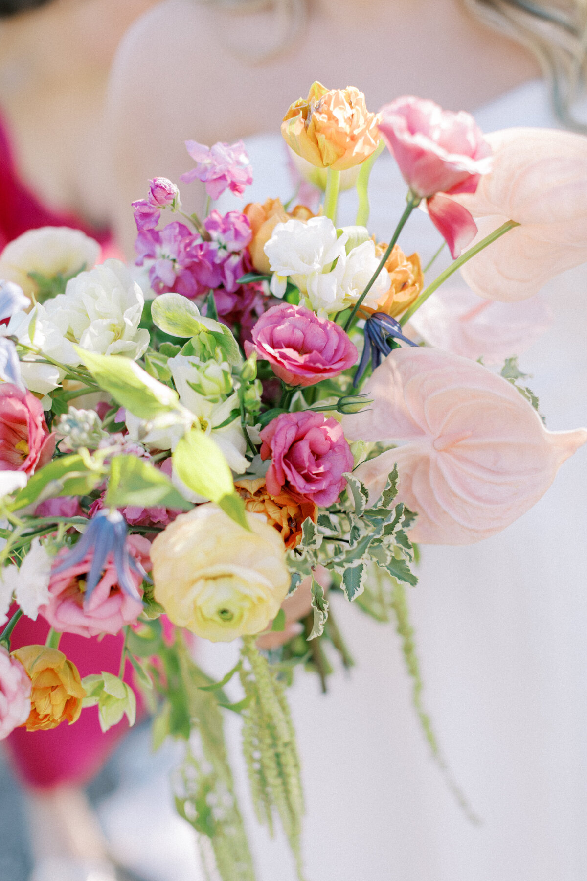 feisty flowers multicolor bouquet 2
