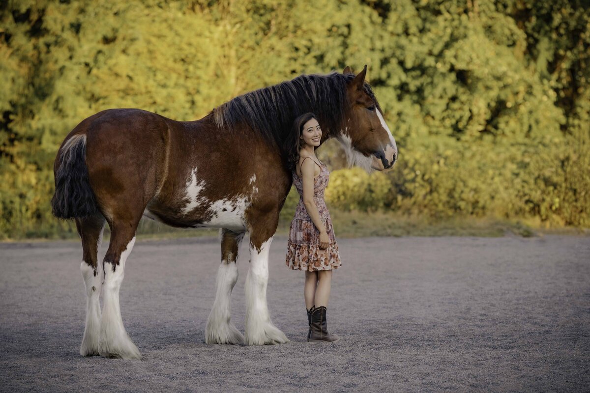 seattle-equine-photoghrapher-6