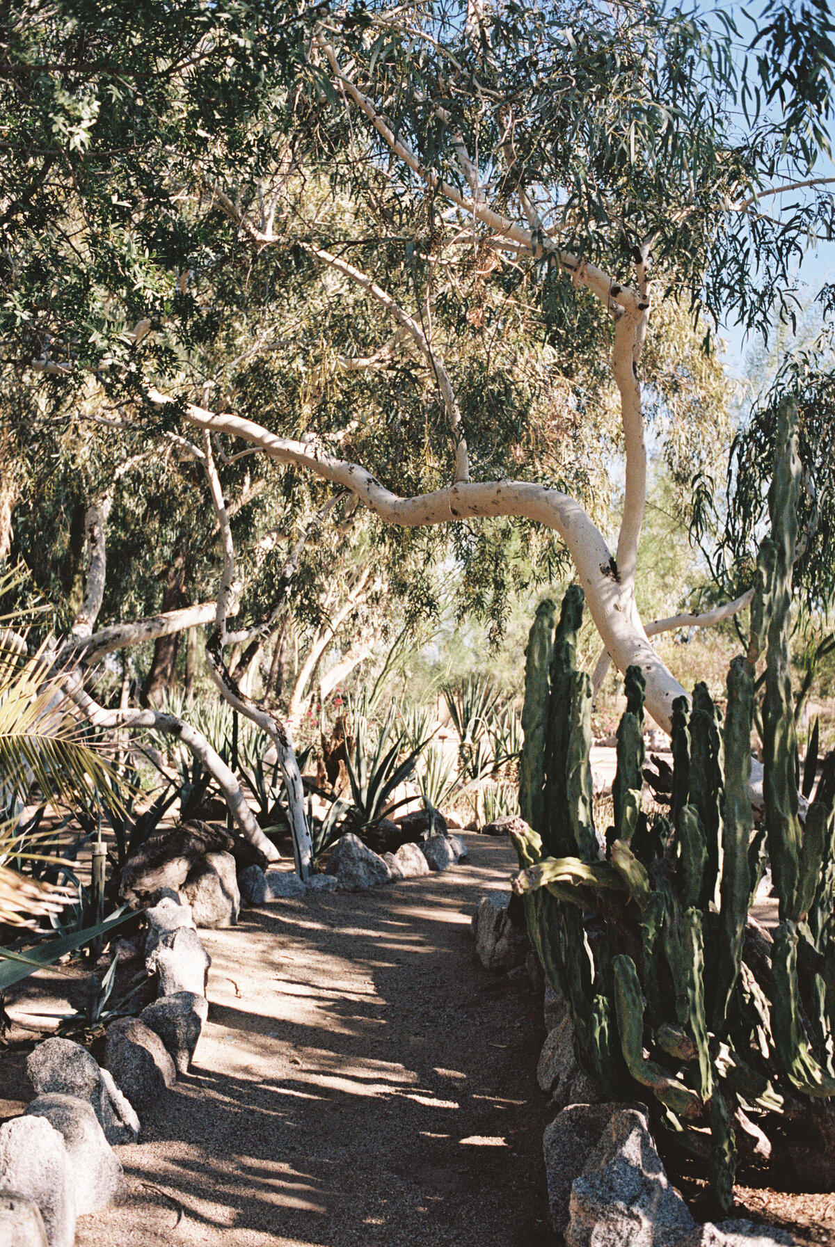 Arizona Wedding Photographer (9 of 102)