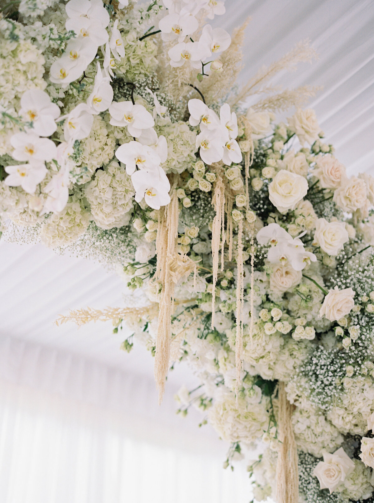 Dexter+Donna_Wedding_AmandaCastlePhotography-443