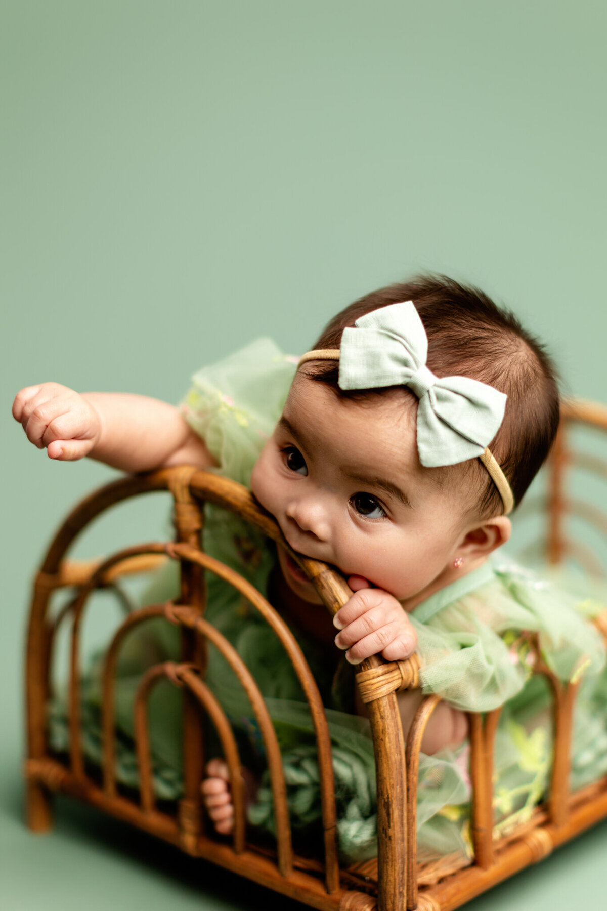 NW Arkansas baby photographer, milestone session near me, NW Arkansas baby portrait studio, professional baby photos