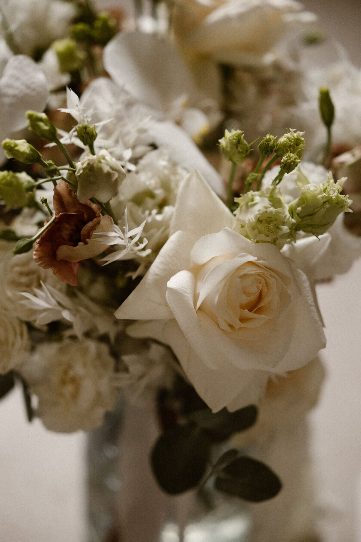 Maudvandenheuvelphotography-brochure2024-2025-35