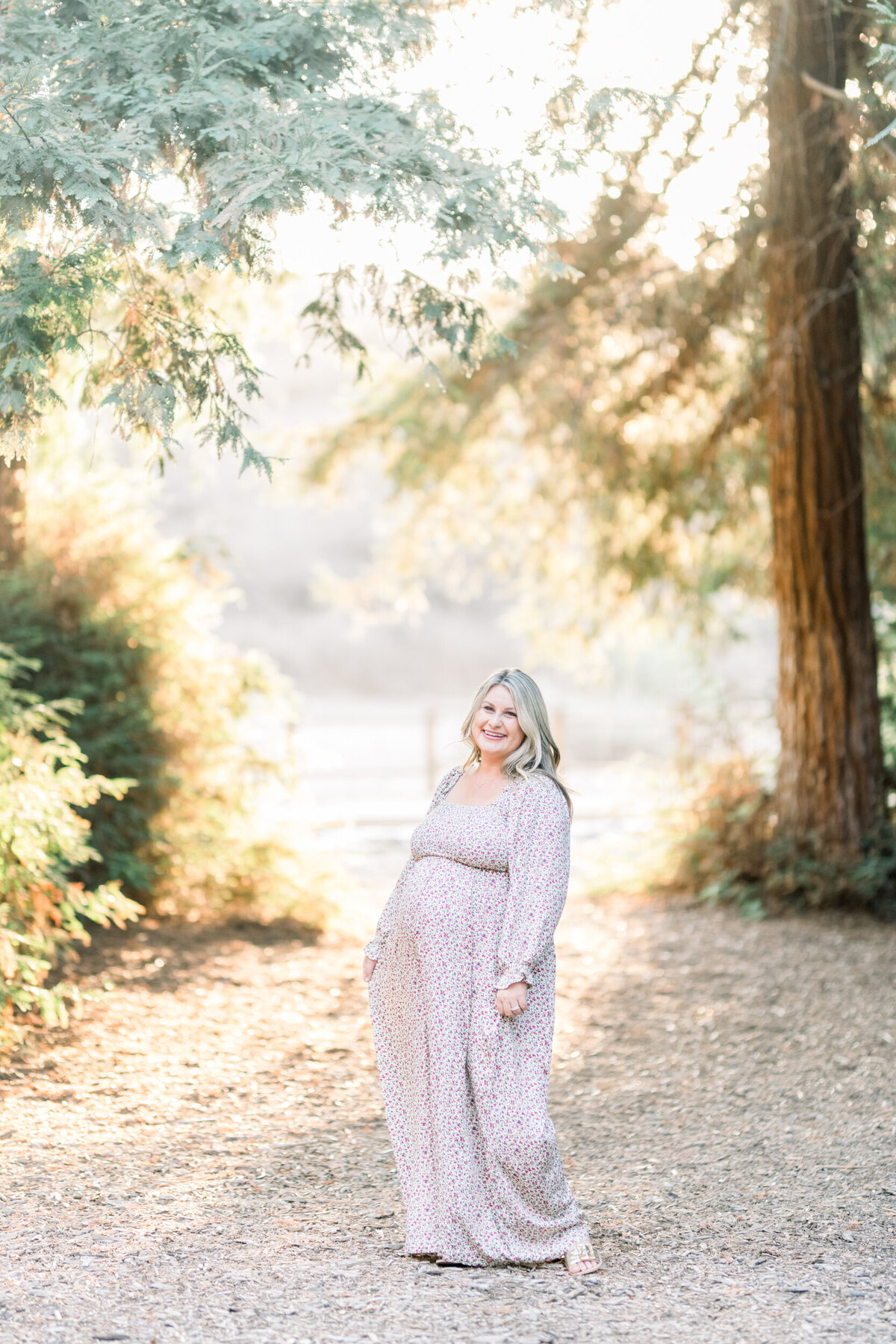Redwood Forest-Orange County Holiday Mini Session-088