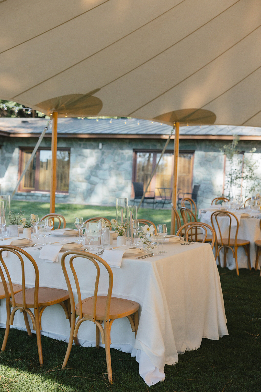 andrew-tiffany-reception-details-olive-and-oath13_websize