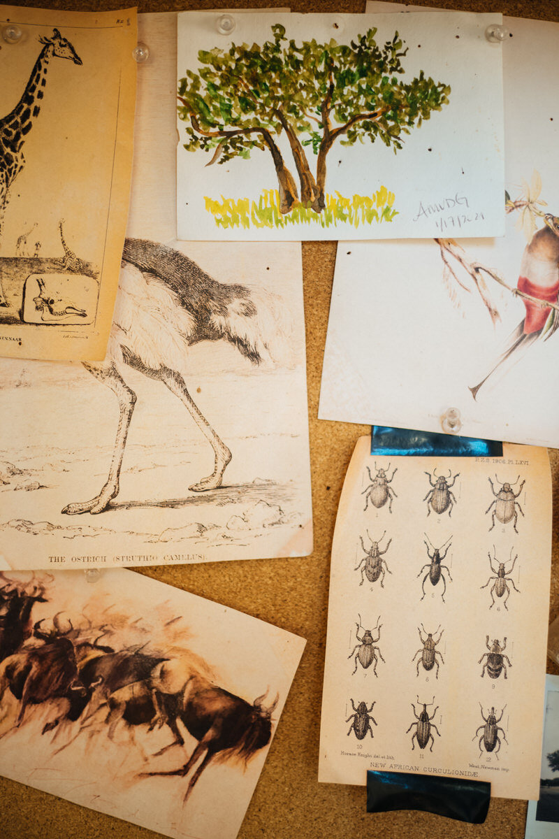 leila-brewster-photography-tanzania-0123