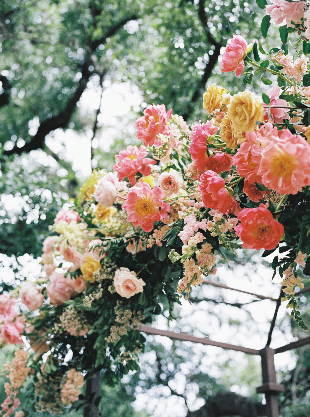 Diana-Brewer_Emily-Calvin_Film-46