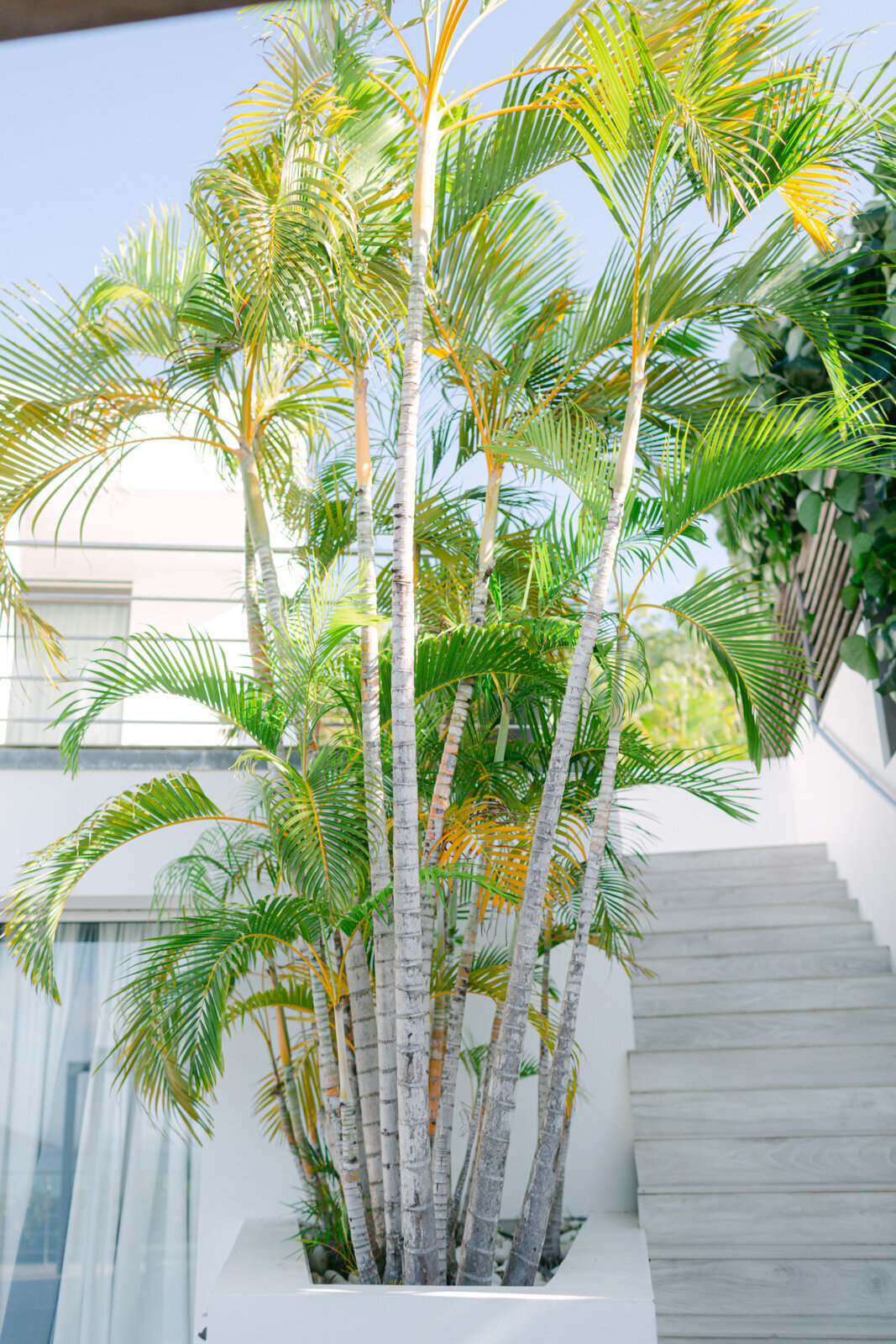 St Barth Wedding Nikki Beach74