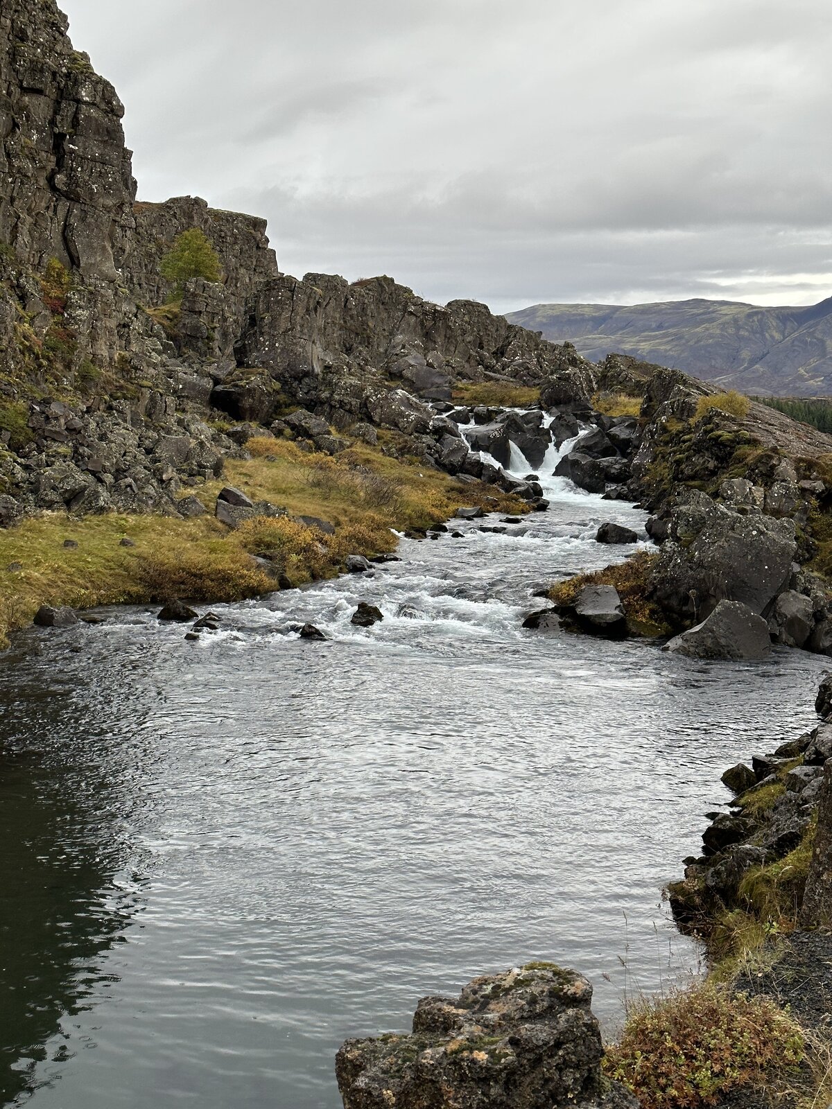 IMG_6813