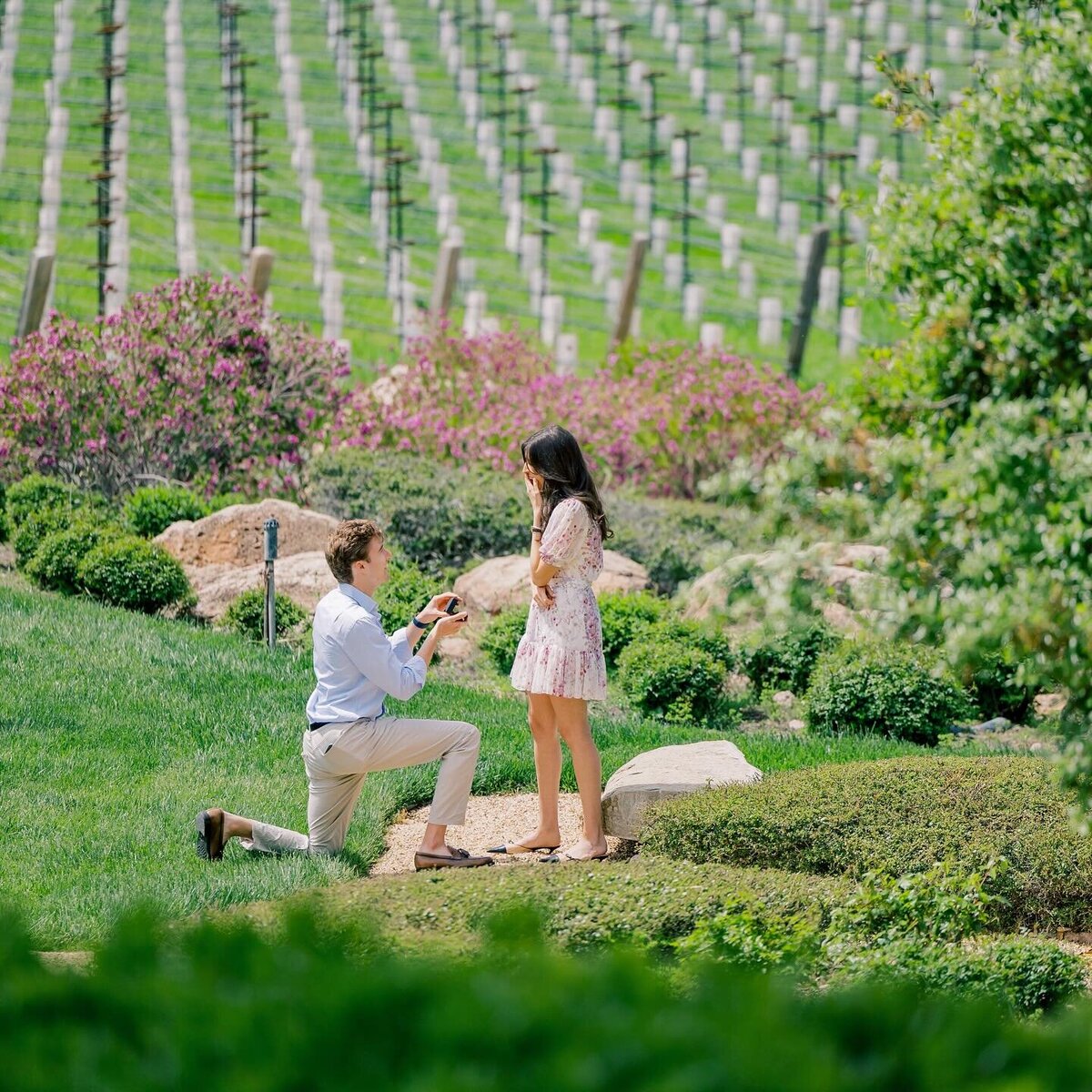surpriseproposal2