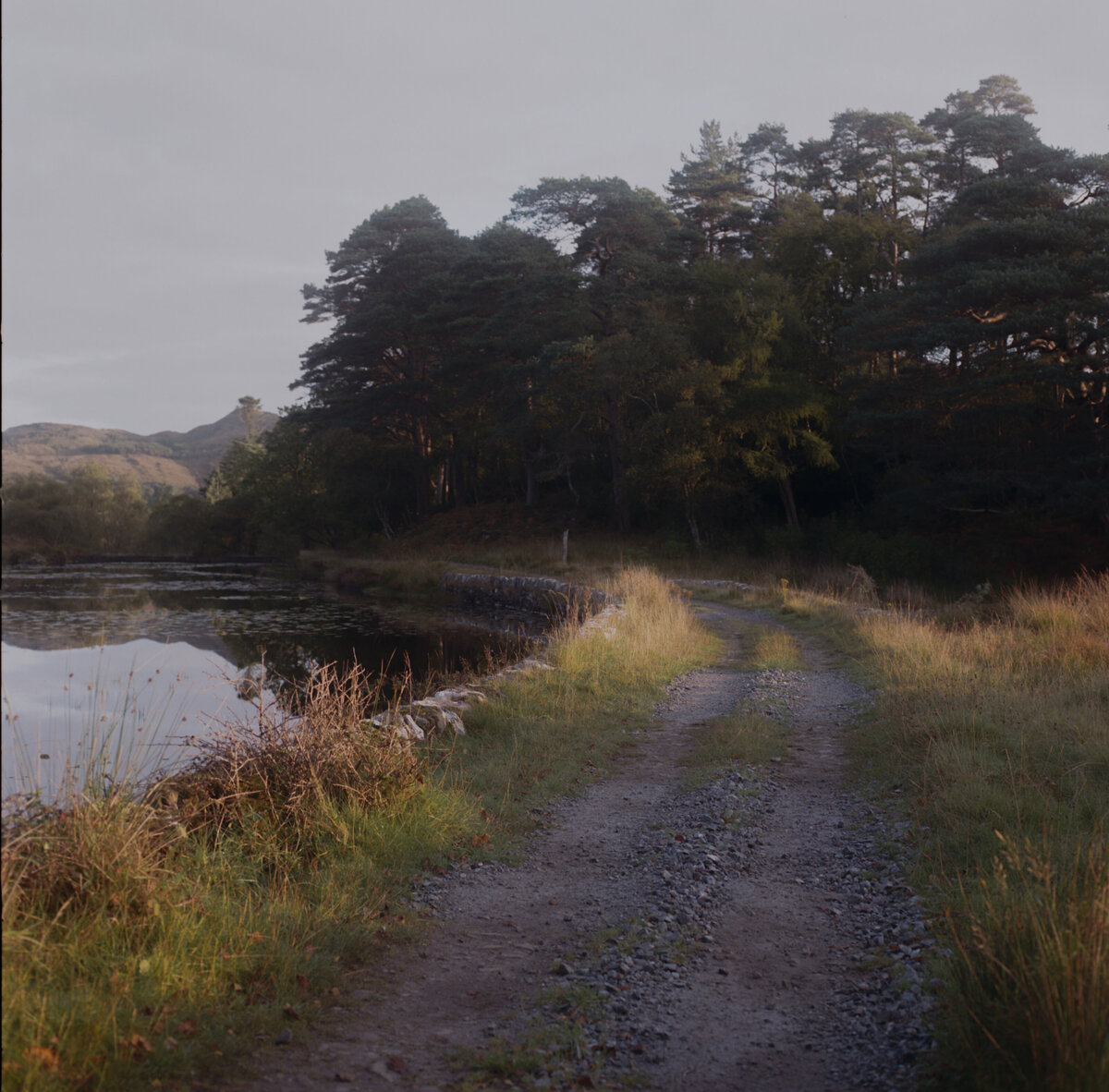 Eilean-shona-wedding-35mm-film-Alexa-Alex-Briars-Atlas-4356