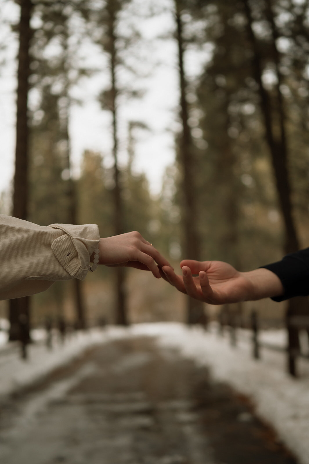 Big Bear Styled Shoot-77
