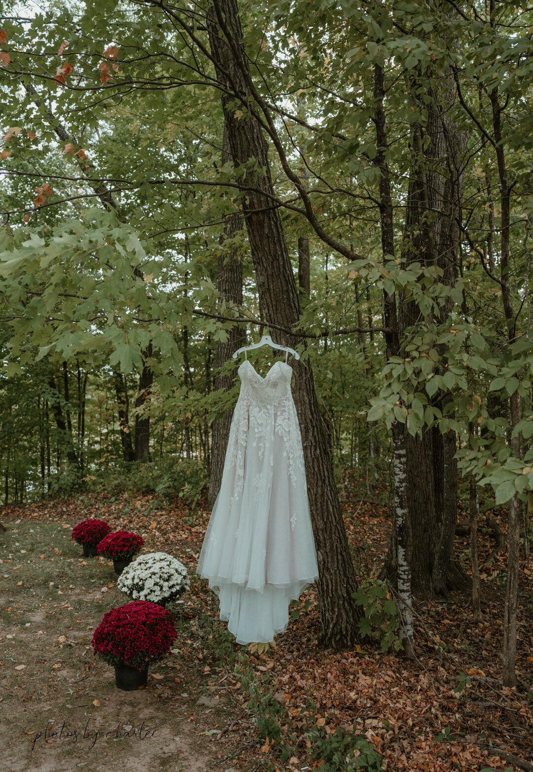Hunt Hill Audubon Sanctuary Wedding-1