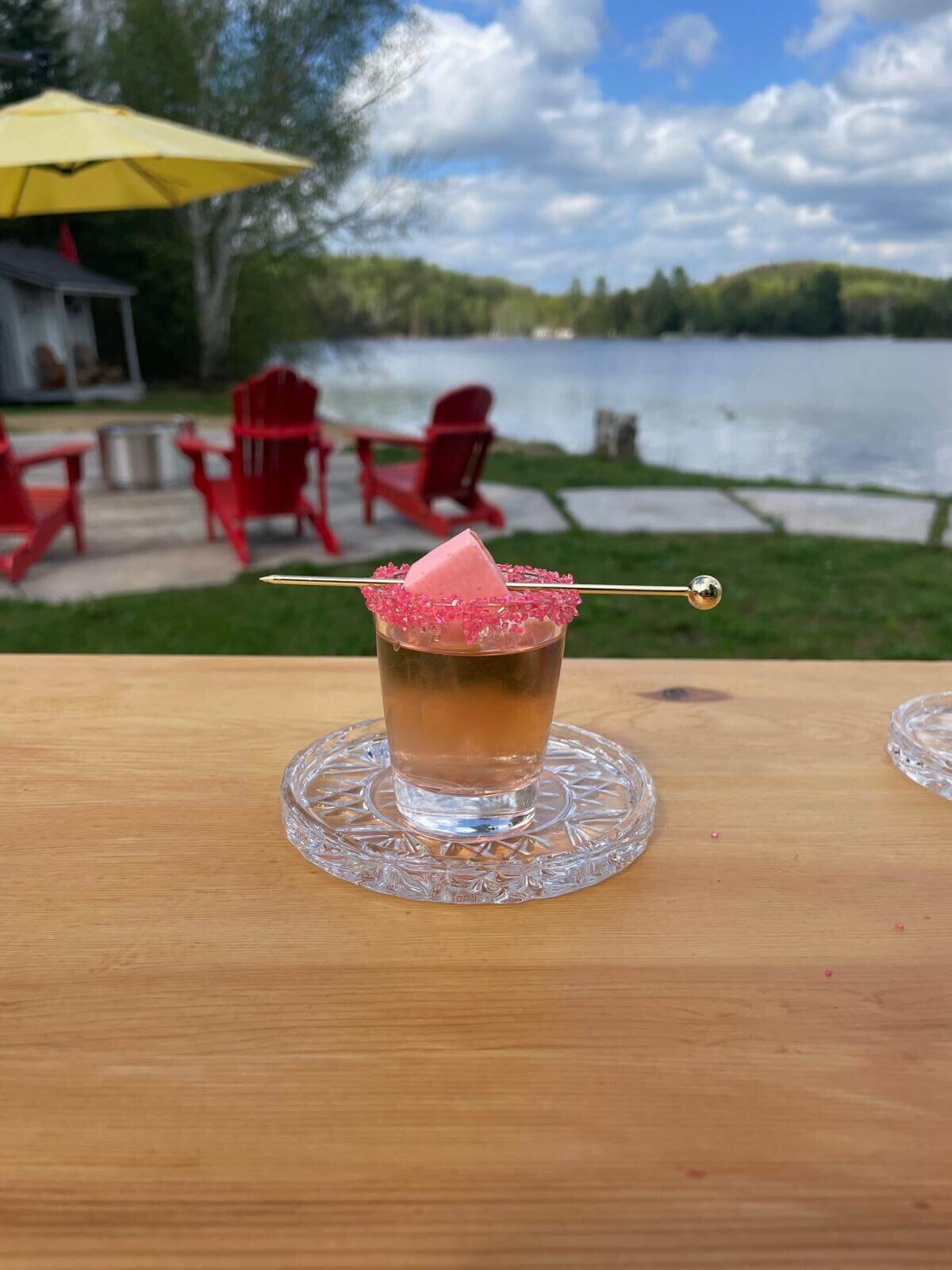 mobile_bar_ontario_hire_bartenders_event_wedding_bachelorette_party (16)