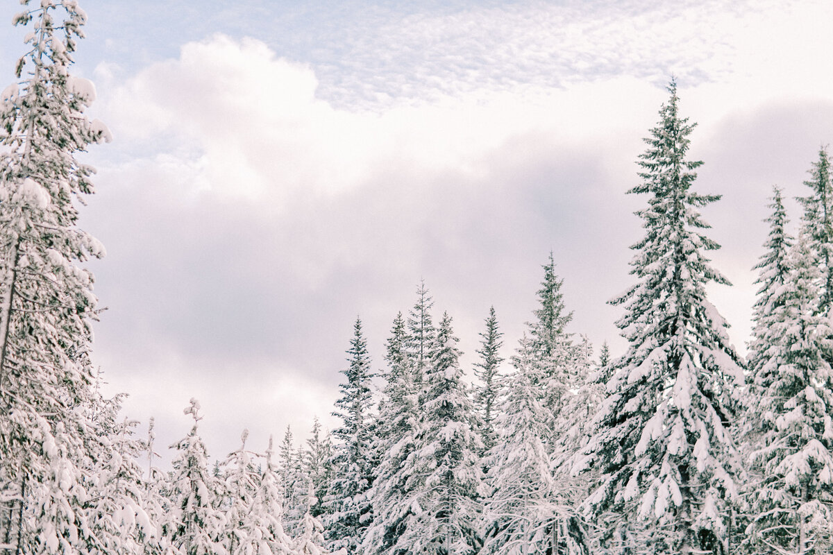 Winter Mount Hood Wedding, Rachel Howerton Photography (9)