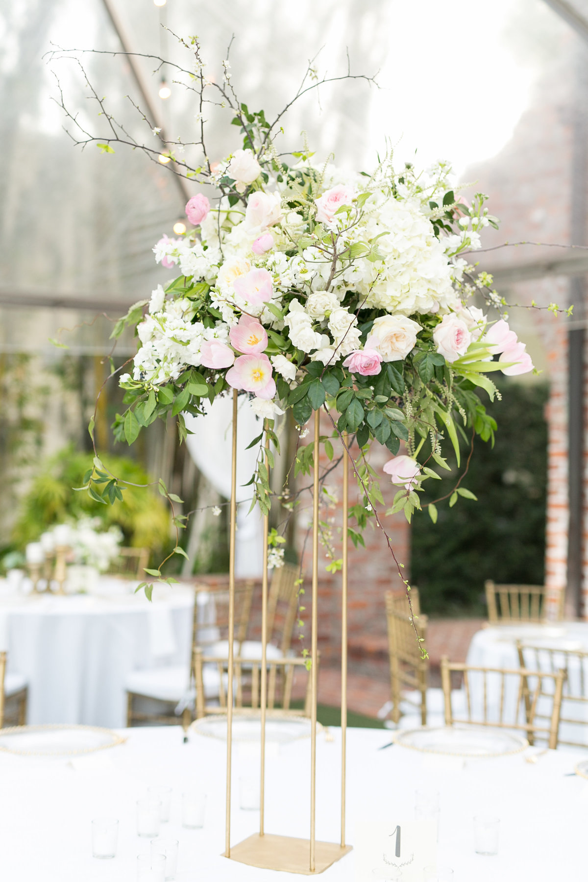 Erika & Nolan    1746 _