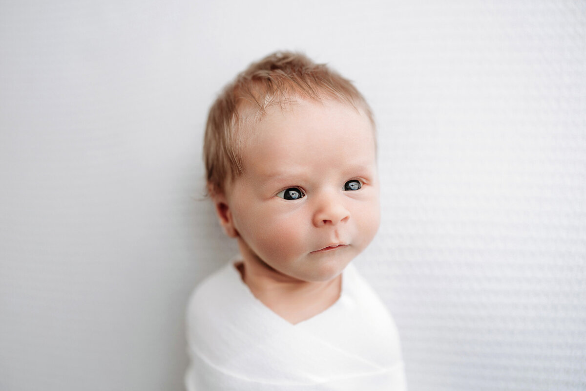 memphis newborn photography by jen howell 34