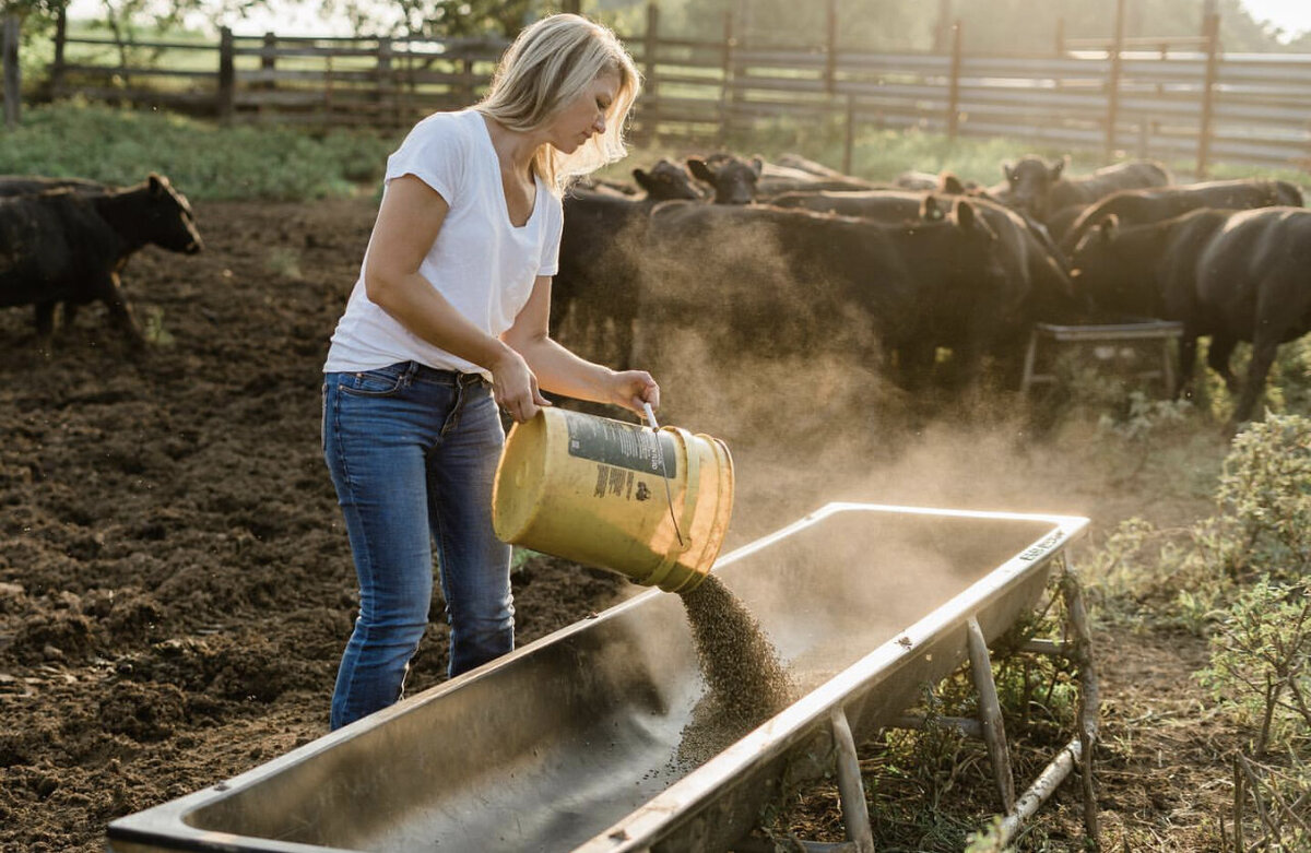 About This Farm Wife Meredith Bernard 6145