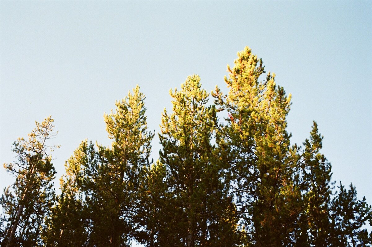 Yellowstone + GrandTeton NP Film (108 of 110)