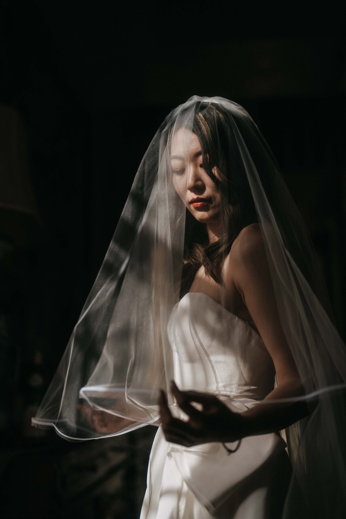 elegant bride portrait with the veil