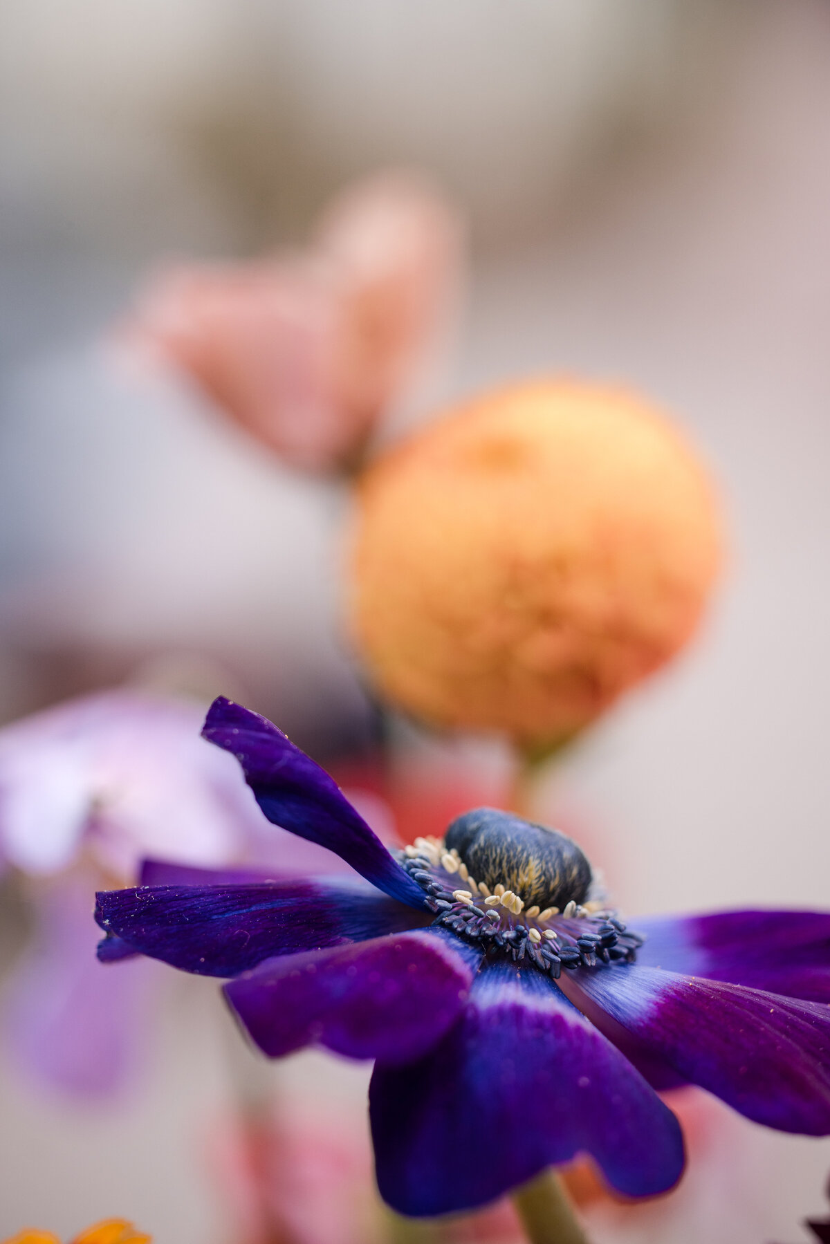 Dramatic purple and orange ceremony flowers at a  Fairmount Park Horticulture Center wedding