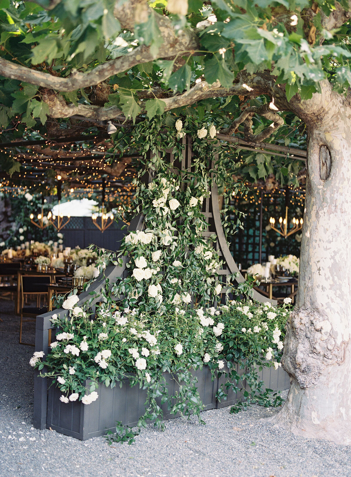 Modern-Wedding-Design-Beaulieu-Garden-Napa-Valley-Reception_009