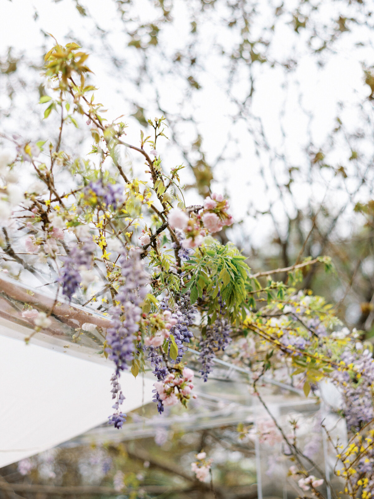 dallas-backyard-tented-intimate-wedding-19