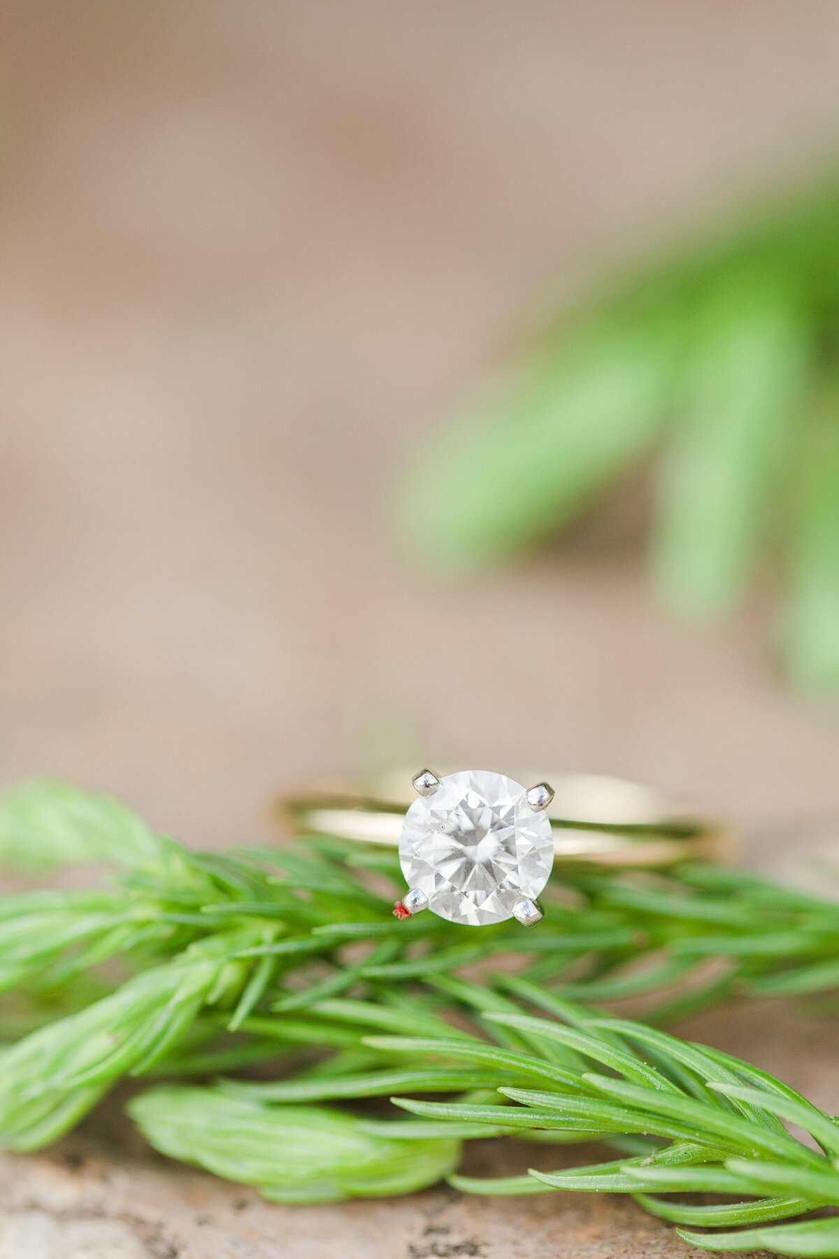 christa-rene-photography3-71