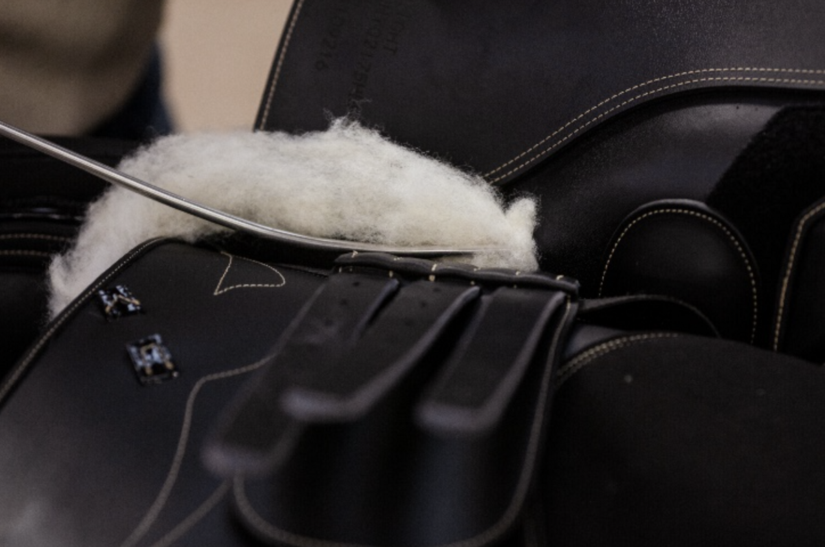 Zwaan zadelservice, zadelproblemen, duurzame ruitersport, paardenwelzijn, paard, blessures, ruiter, zadel, zadelpasconsult, palpatie, controle, nieuw zadel, zadelmerken, frank baisses saddlery, ikonic saddlery, arena saddles, wintec saddles, treeclix, LeMieux, acavallo, connect, revalidatie, veiligheidscheck zadel, bijvullen, singelstoten vervangen