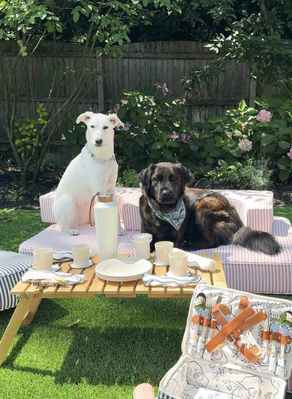 Screenshot 2025-11-01 at 2.50.52 PM