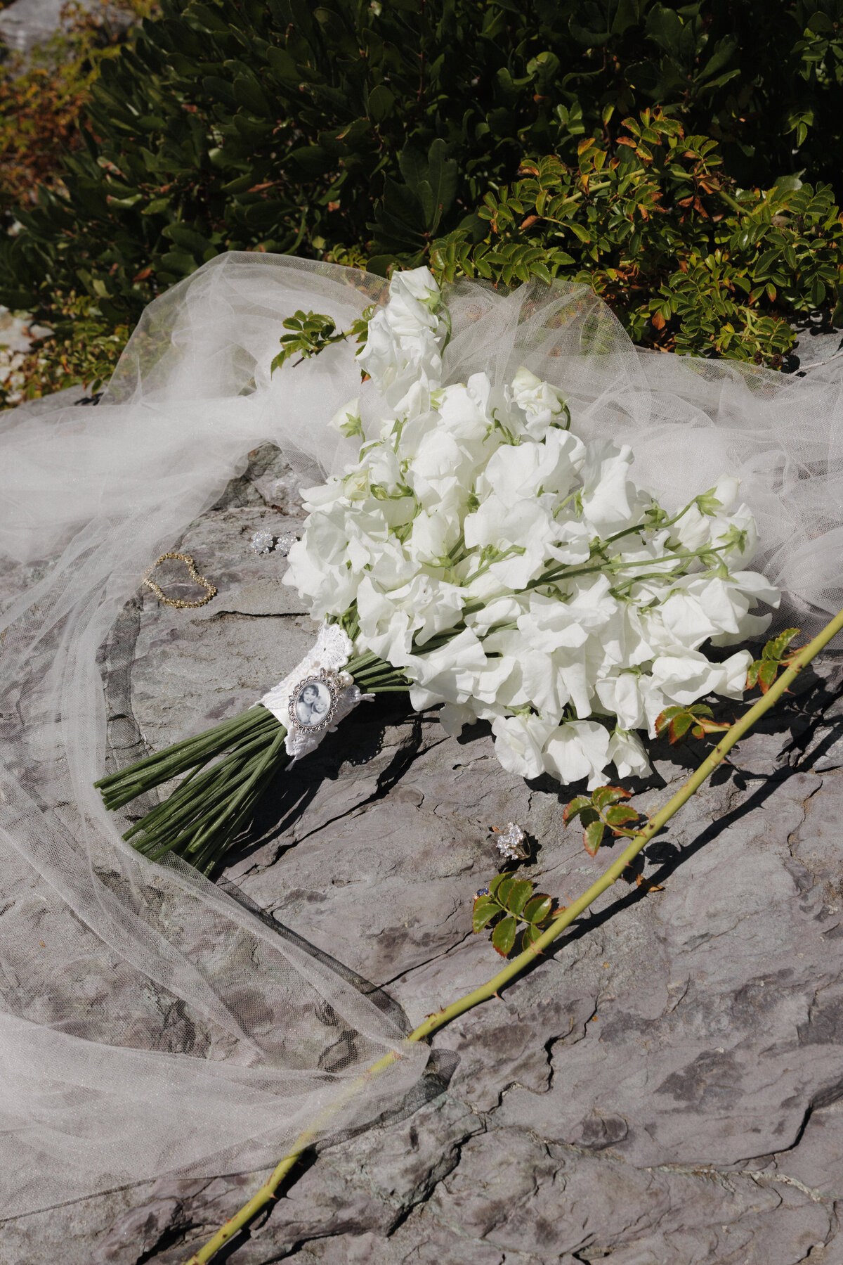 250830JENMAT_adv0020