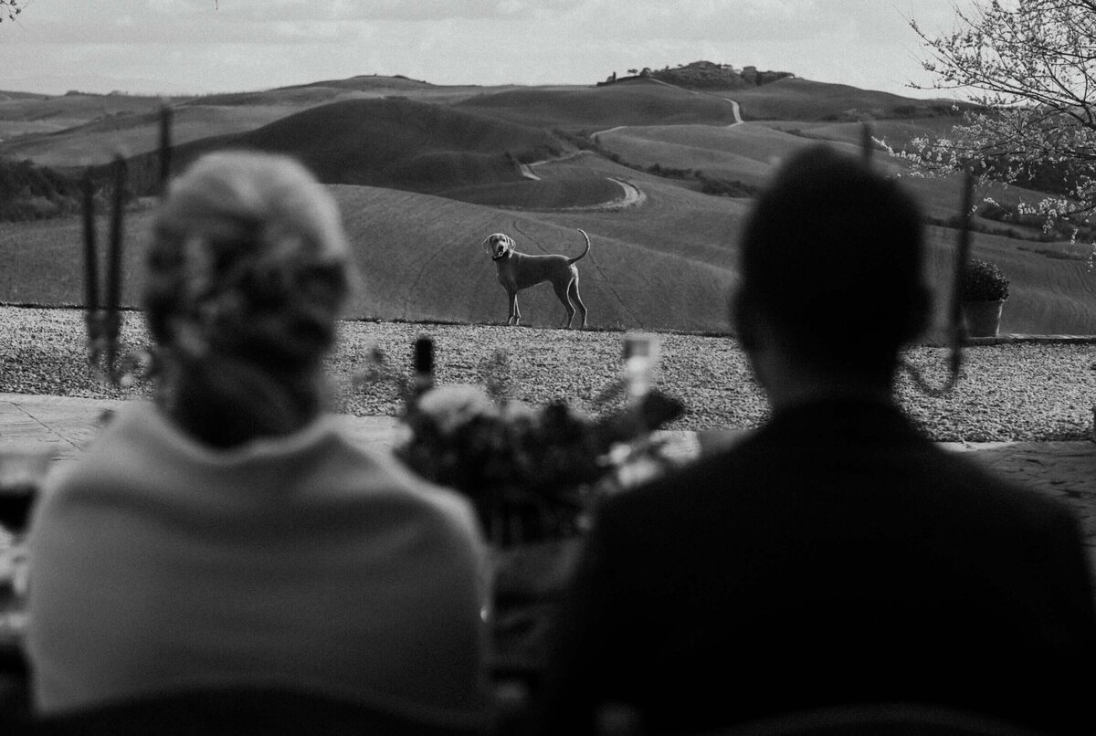 intimate wedding dinner bride and groom