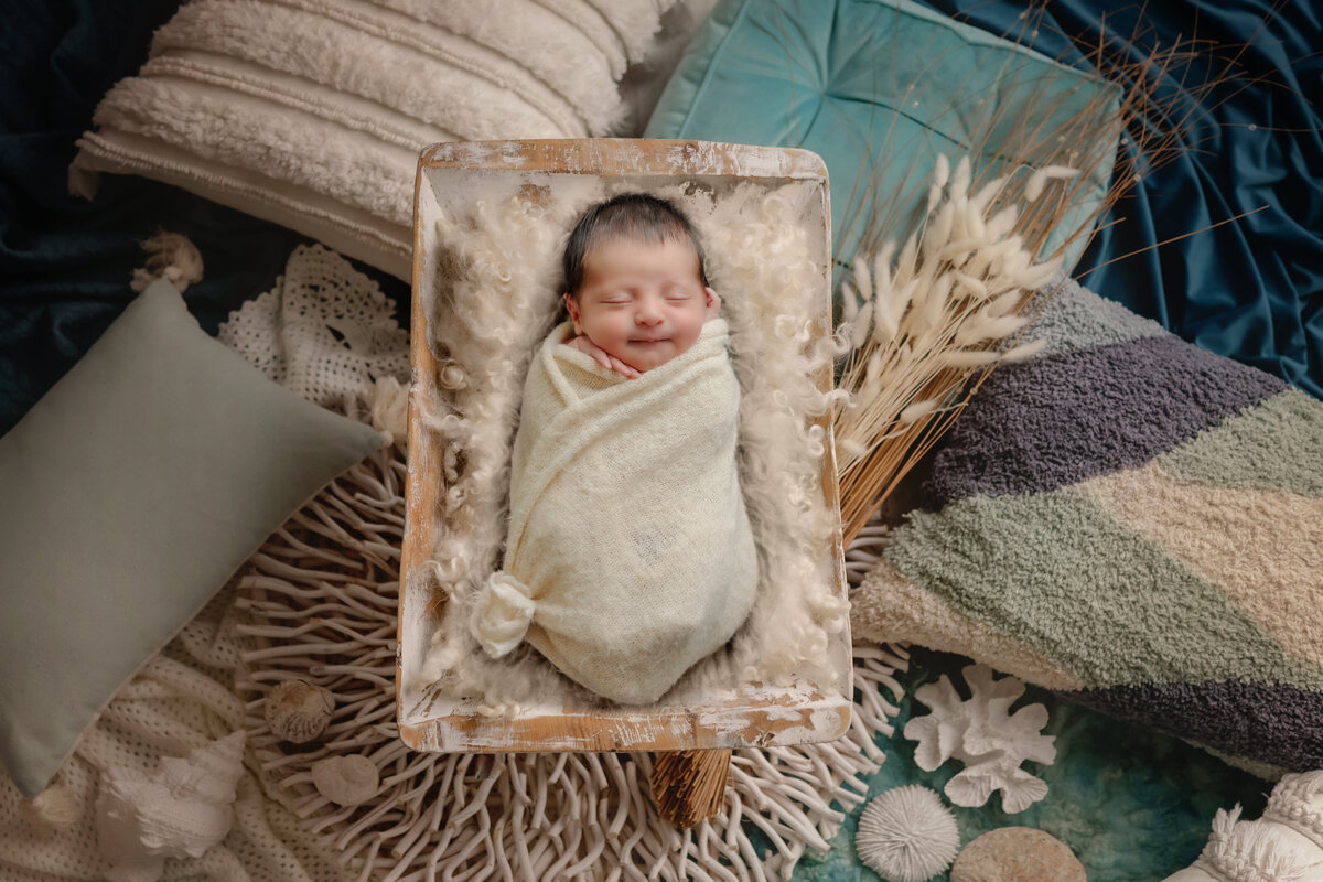 Newborn Photographer, a baby sleeps in a basket surrounded by decorative pillows