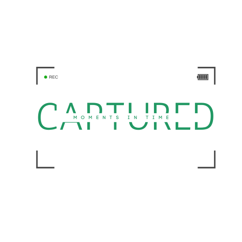 Logo White
