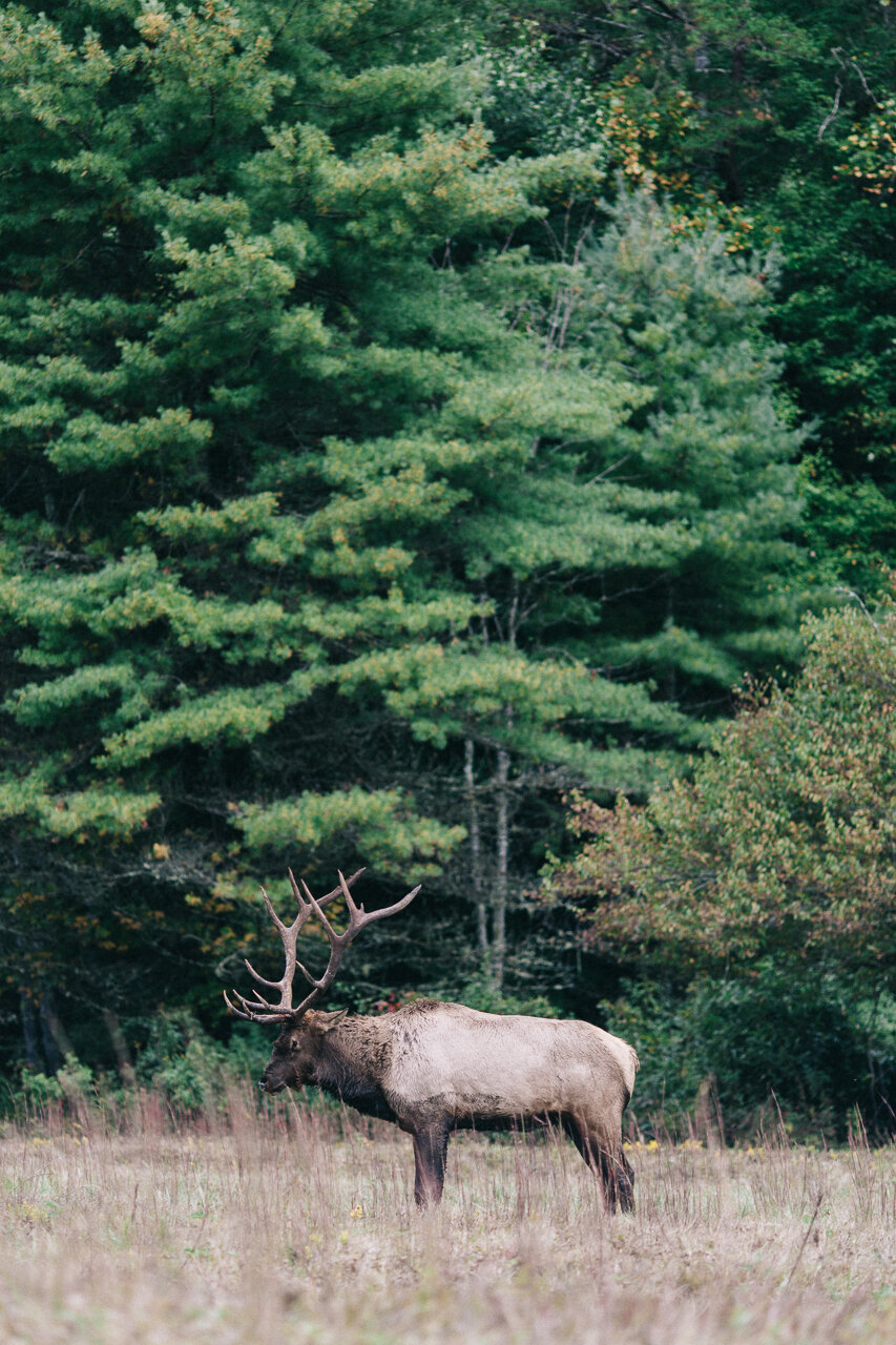 TRAVEL-PORTFOLIO-42