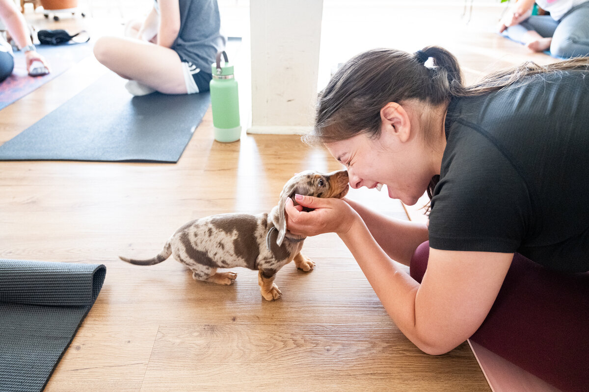 HerElevated-FreckledWeeniesOfSacramento-PuppyYoga-July-6-2024-staceydoyle-49