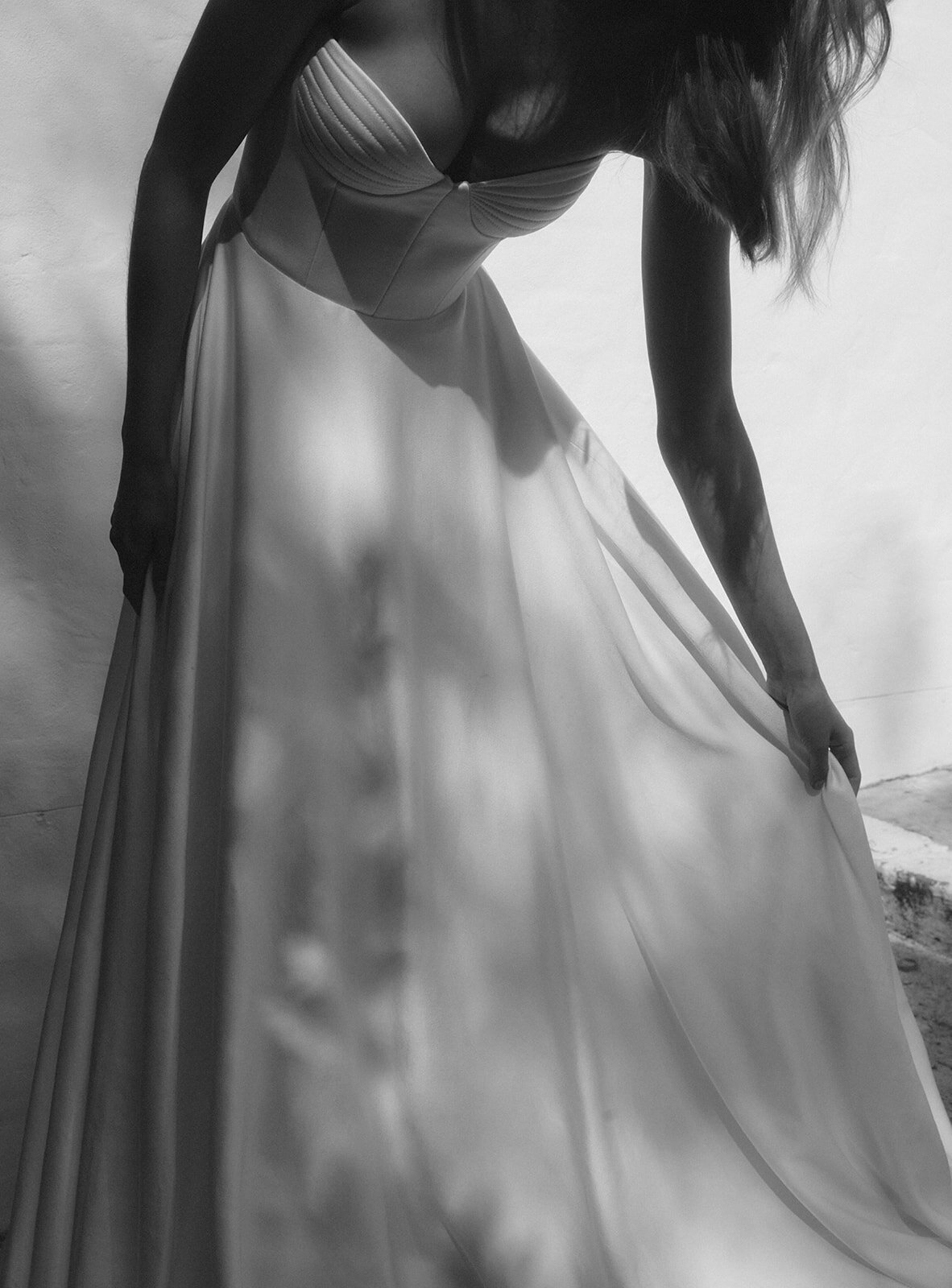 CAMELLIA 23 BW-4