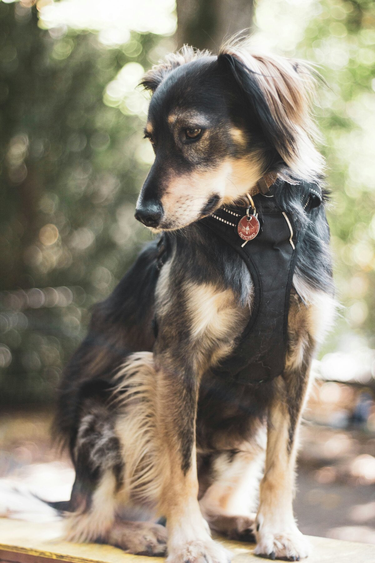 benjamin-brunner-n8xuDzWd8J8-unsplash