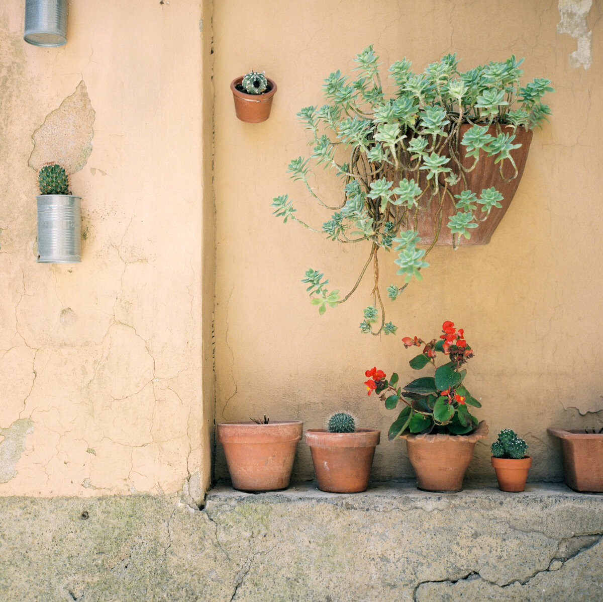 Travel photography in Siena and Volterra, Italy - 3