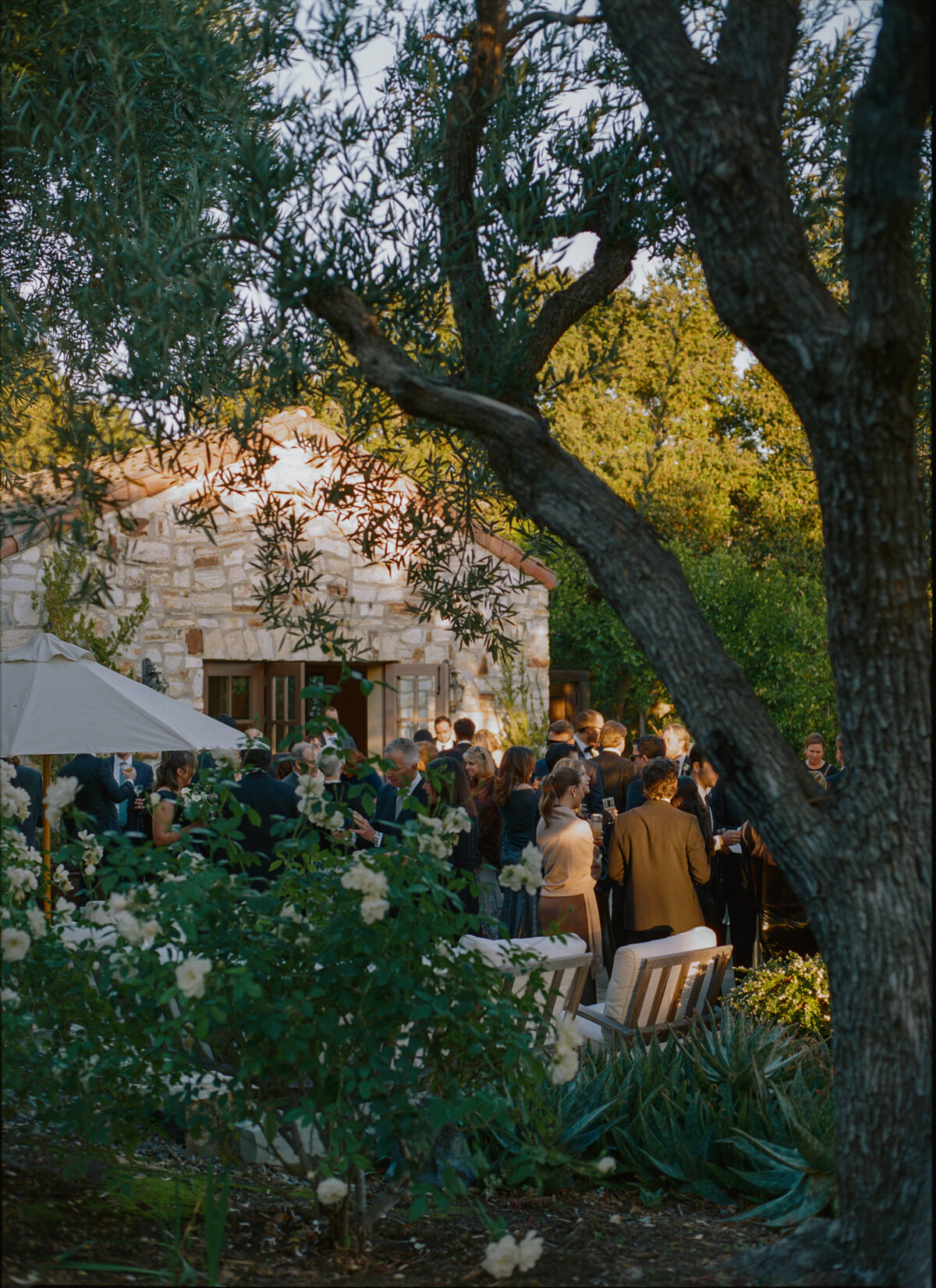 olivia-griffin-wedding-892
