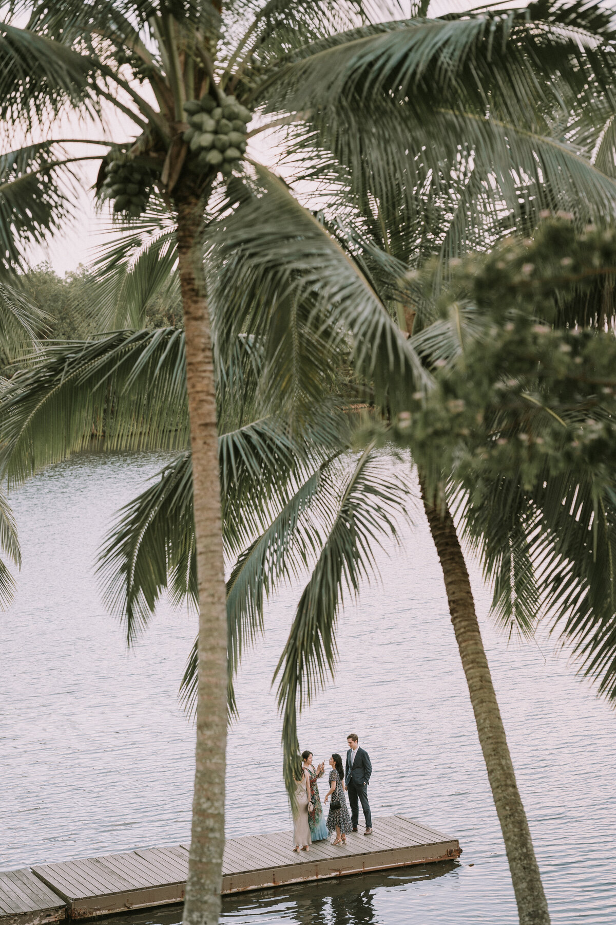 Wedding guests wearing formal clothing standing on a dock with palm trees surrounding them