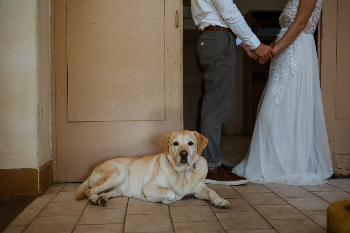 marketa-zyka-svatebni-fotografka-elopement-na-sumave12
